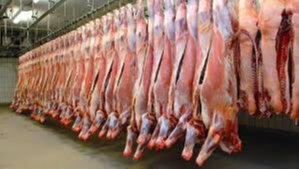 Meat processing companies forced to halt operation